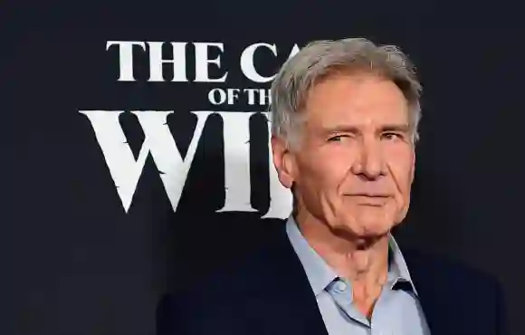 Harrison Ford save a boys life