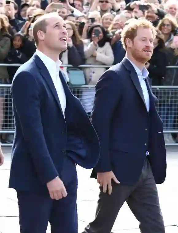 Prince William, Prince Harry, "Heads Together" (La tête ensemble)