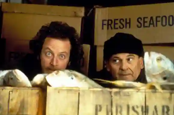 Daniel Stern and Joe Pesci in 'Home Alone'