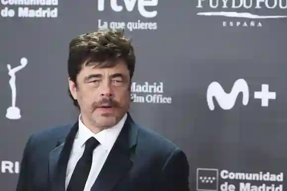 10th Platino Awards 2023 - Red Carpet Benicio del Toro attends 10th Platino Awards for Ibero-American Cinema 2023 Rec Ca