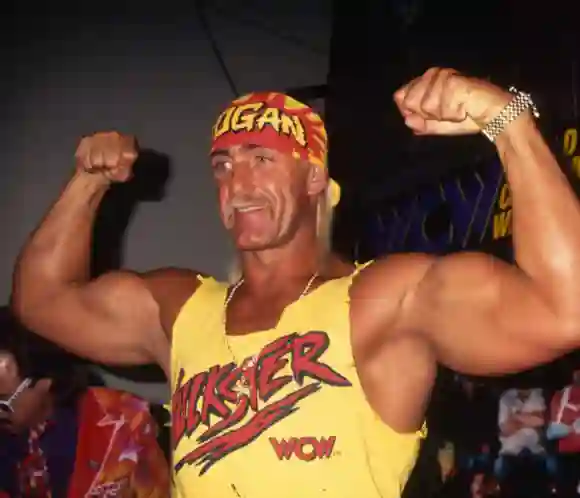 Hulk Hogan 1995 Hulk Hogan Photo by John Barrett/PHOTOlink EDITORIAL USE ONLY Copyright: xx PhotoxByxJohnxBarrett/PHOTOl