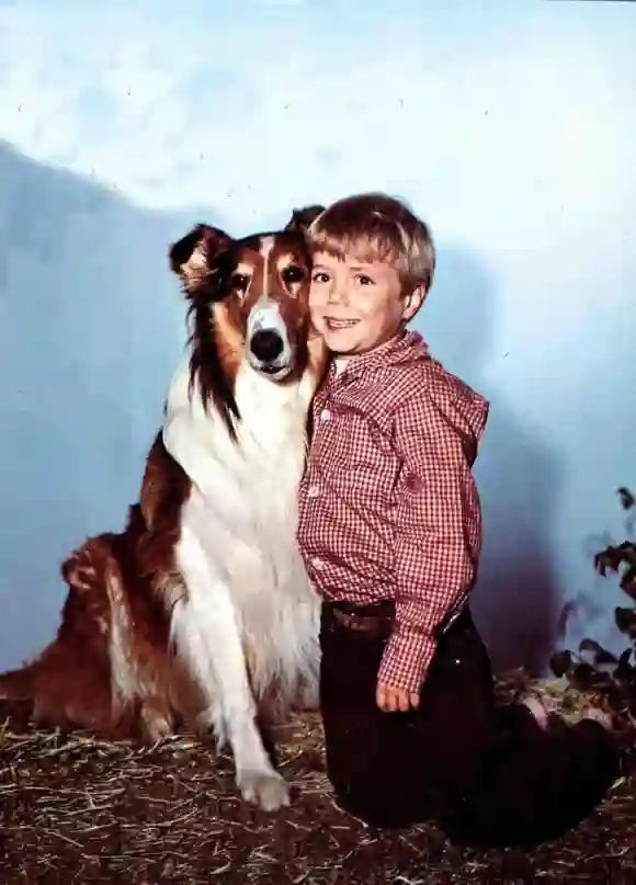 Jon Provost for Lassie in 1963