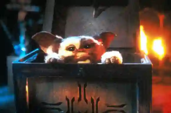 'Gremlins'