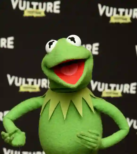 Kermit the Frog attends the Vulture Festival on May 21, 2016.