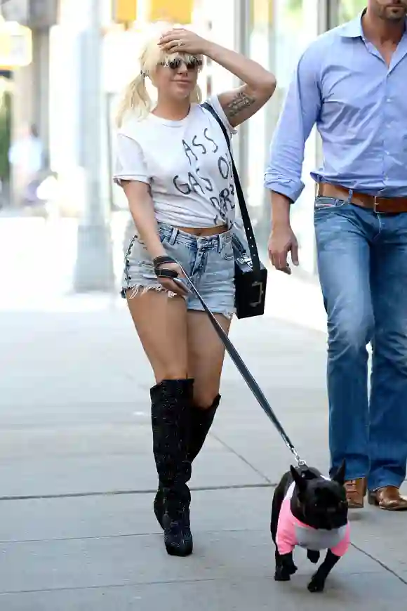 June 22 2015 New York NY USA June 22 2015 New York City Lady Gaga walks her dog Asia on Jun