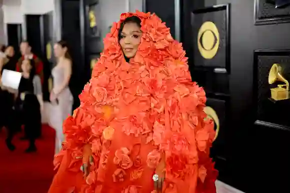 65 Premios GRAMMY - Alfombra roja