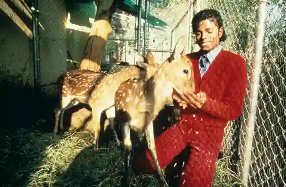 Michael Jackson in 1985
