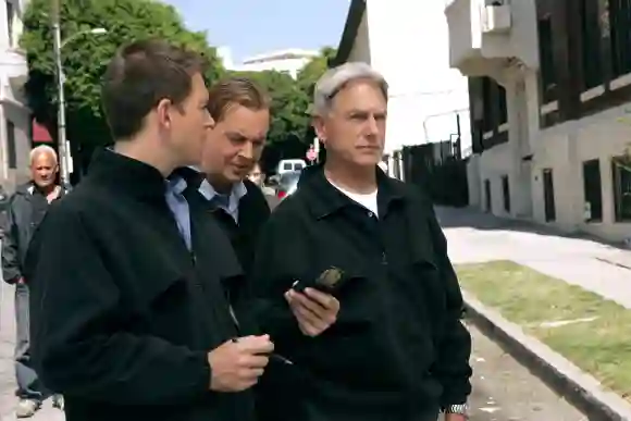 Michael Weatherly, Sean Murray and Mark Harmon