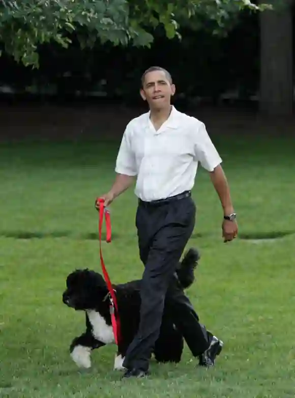 US President Barack Obama walks the first family's dog as he arrives at the Congressional Picnic in Washington, DC June 8, 2010.