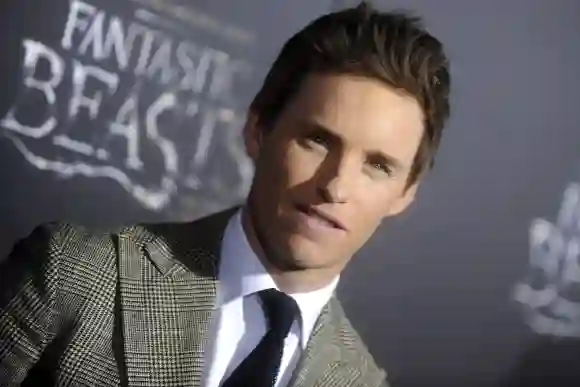 les bêtes fantastiques eddie redmayne