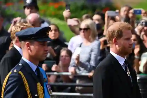 Prince William, Prince Harry