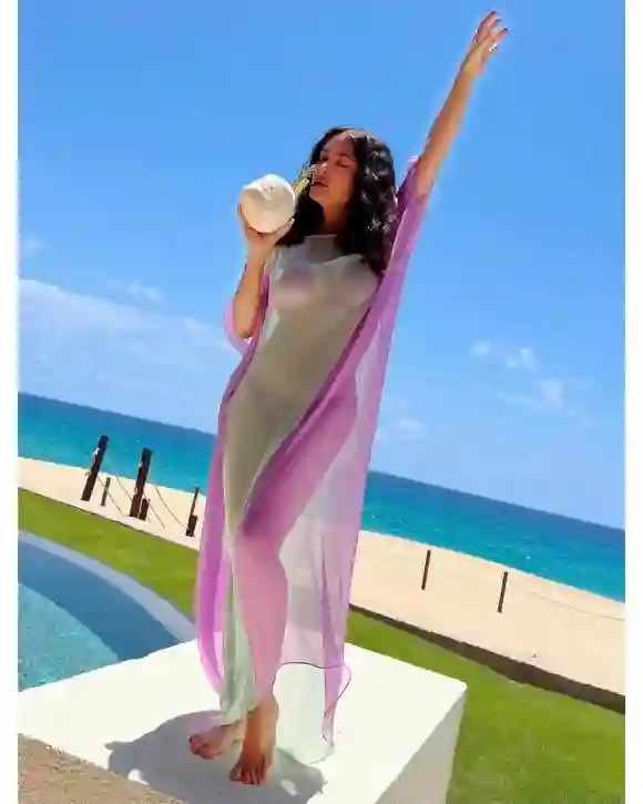 Salma Hayek dans une robe transparente