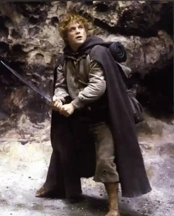 Sean Astin in 'The Lord of the Rings'