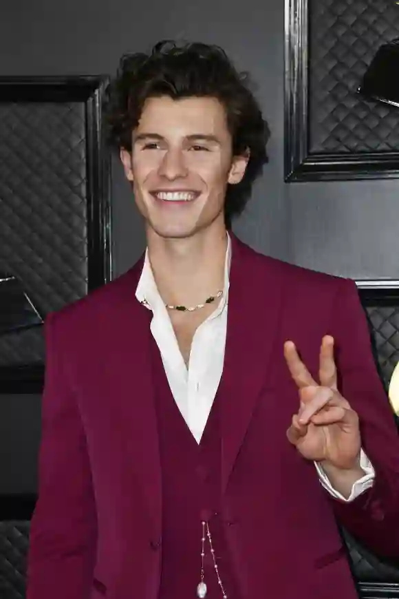 Shawn Mendes attends the 62nd Annual GRAMMY Awards at STAPLES Center on January 26, 2020 in Los Angeles, California