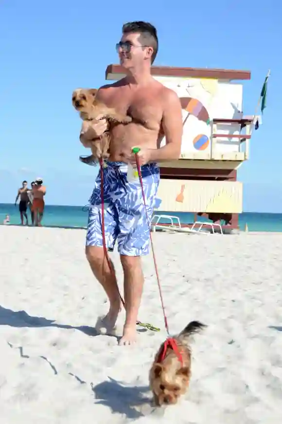 Simon Cowell pasea a sus perros en la playa el 1 de marzo de 2014 en Miami Beach, Florida.