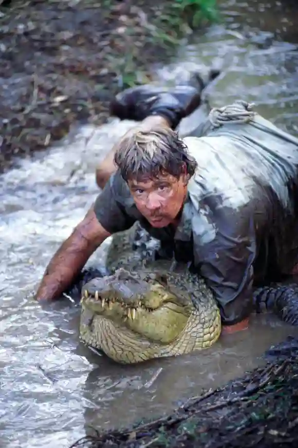 Steve Irwin