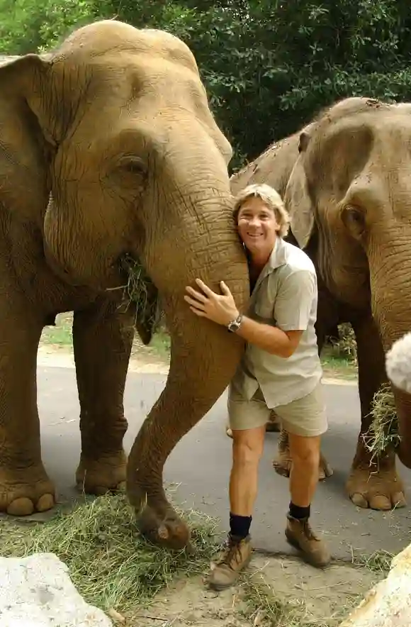 Steve Irwin