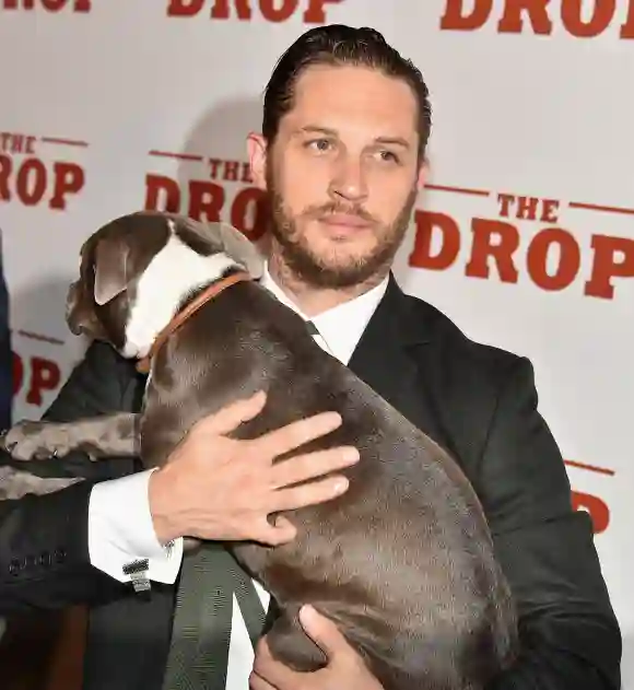 "The Drop" New York Premiere