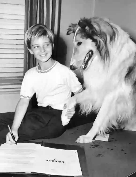 Tommy Rettig in 'Lassie'