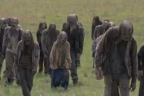 'The Walking Dead'