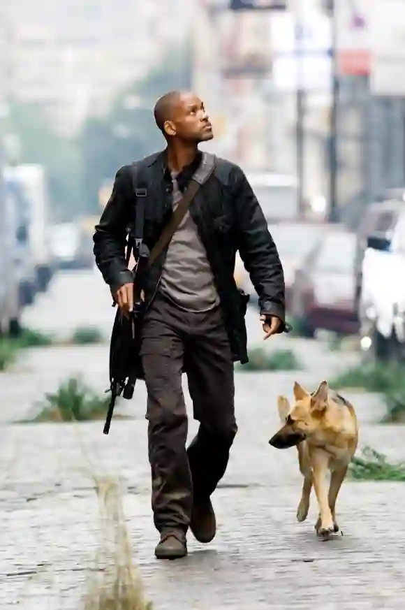 Will Smith and Kona in 'I Am Legend'.