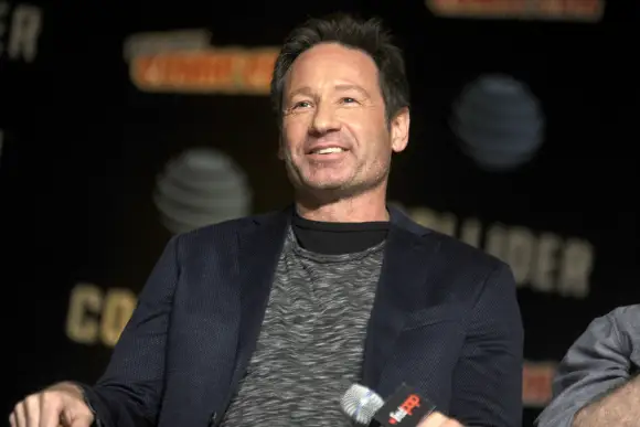 David Duchovny  Comic Con 2017