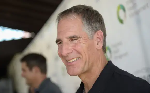 Is NCIS Star Scott Bakula About To Make A Big TV Comeback? Quantum Leap reboot cast Sam Beckett Pride Actor New Orleans NOLA series TV show 2022 news latest