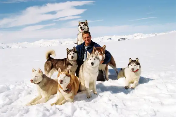 Eight Below, Walt Disney Pictures. PAUL WALKER