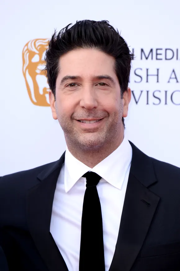 David Schwimmer