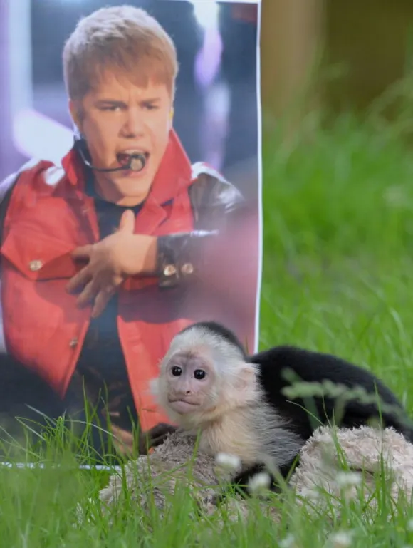 GERMANY-CANADA-ANIMALS