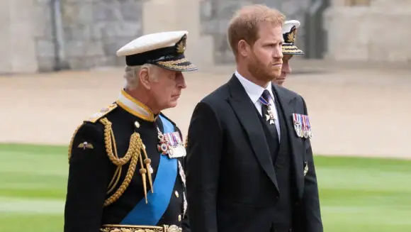 King Charles Prince Harry Royals