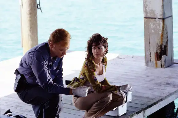 This is Why David Caruso Retired From Acting