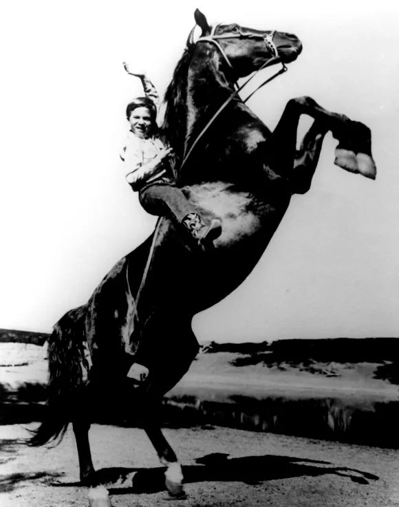 FURY, Bobby Diamond, 1955-1960 Courtesy Everett Collection !ACHTUNG AUFNAHMEDATUM GESCHÄTZT! PUBLICATIONxINxGERxSUIxAUTx