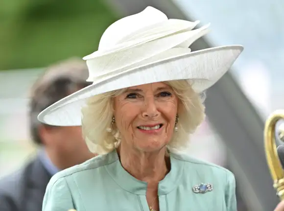 camilla plane problems