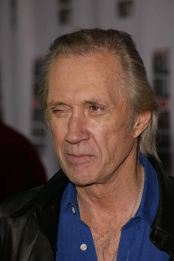 David Carradine at the Kill Bill Vol. 1 Video Release Party at the Playboy Mansion, Beverly Hills, CA 04-12-04 , 1101713
