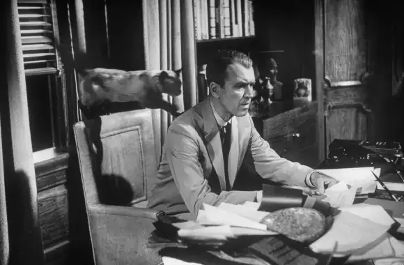 Actor  James  Stewart  about  to  be  pounced  upon  by  a  cat  in  a  scene  from  the  motion  pi