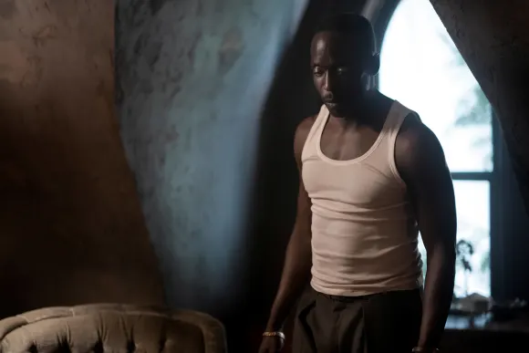 Michael Kenneth Williams in 'Lovecraft Country'