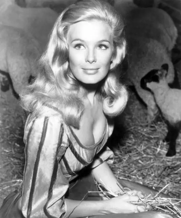 Linda Evans in 'The Big Valley'