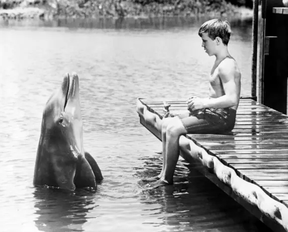 Tommy Norden in 'Flipper'